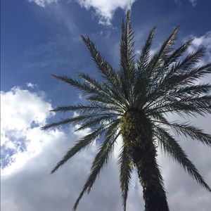 Meet your Posher, Sarine